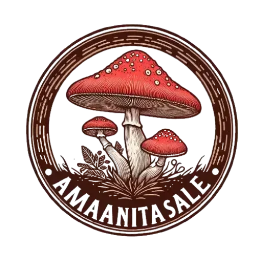 Amanita Sale Shop